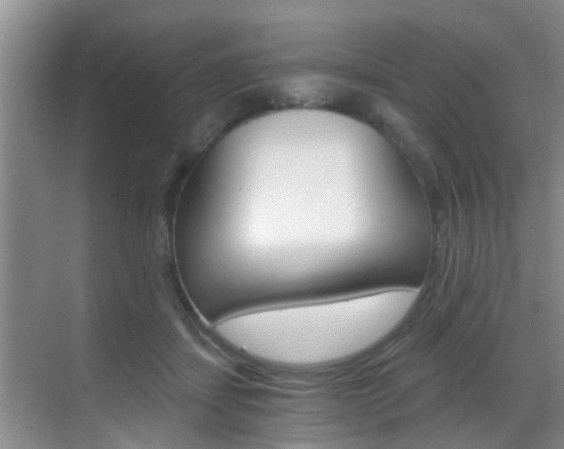X0000069800459200605190914