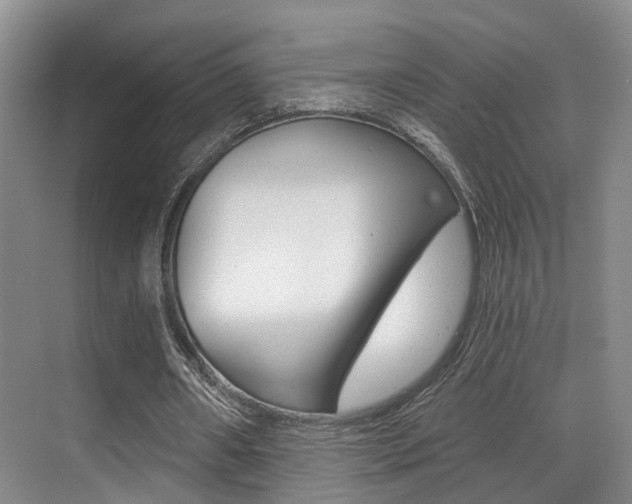 X0000069800482200605190913