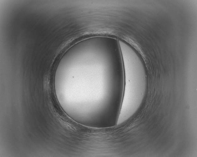 X0000069800483200605190913