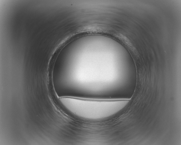 X0000069800488200605190913