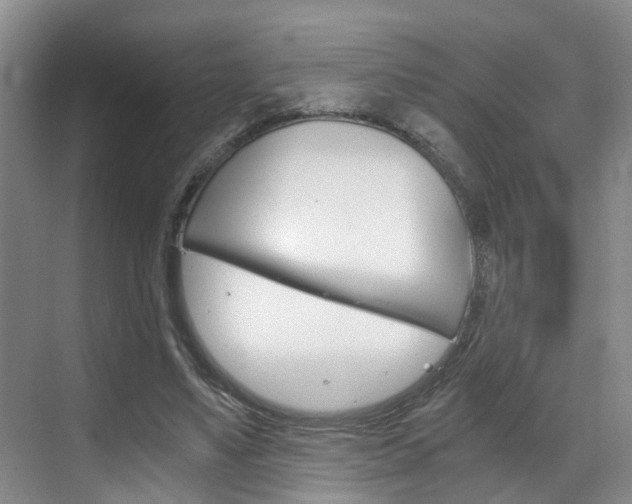 X0000069800491200605190913