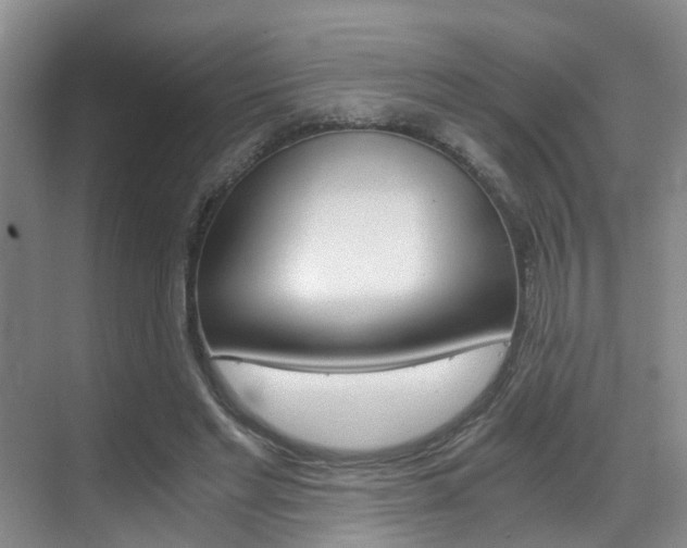 X0000069800493200605190913