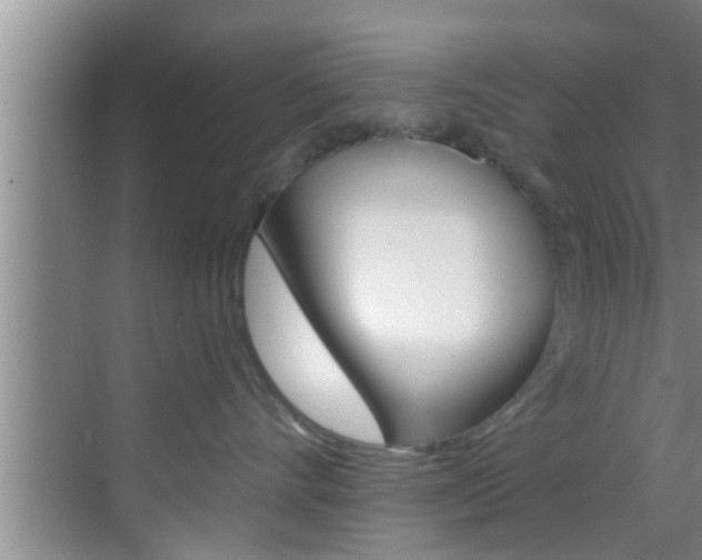 X0000069800528200605190913