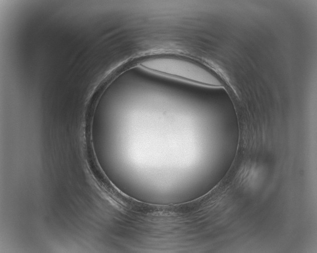 X0000069800535200605190912