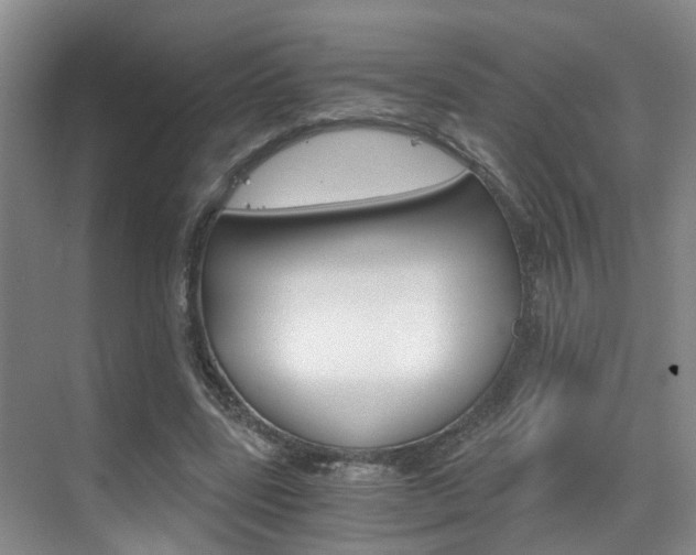 X0000069800539200605190912