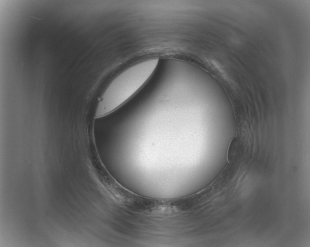 X0000069800543200605190912