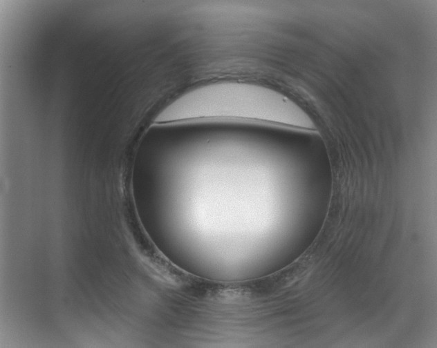 X0000069800546200605190912