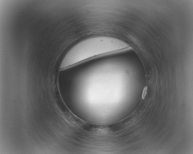 X0000069800548200605190912