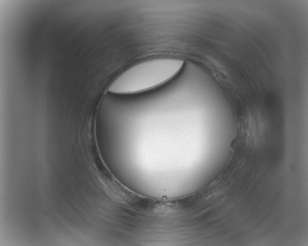 X0000069800550200605190912