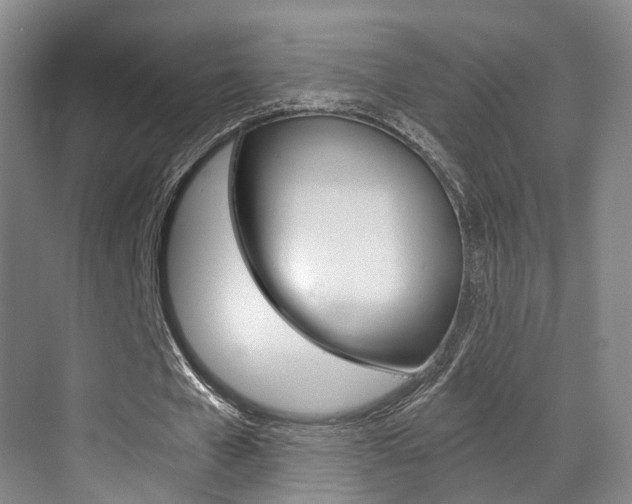 X0000069800577200605190912