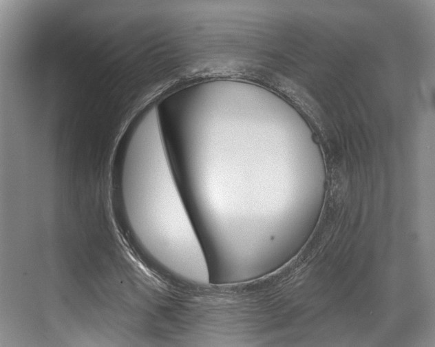 X0000069800578200605190912