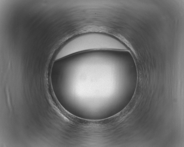 X0000069800581200605190912