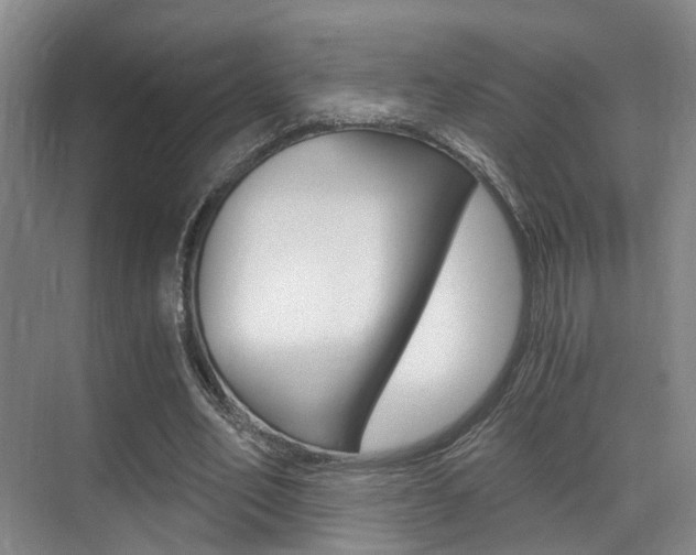X0000069800582200605190912