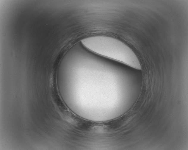 X0000069800595200605190911