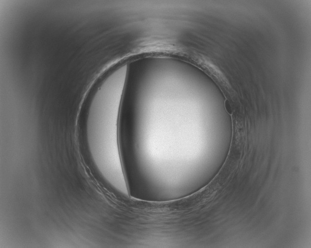 X0000069800628200605190910
