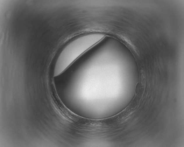 X0000069800631200605190910