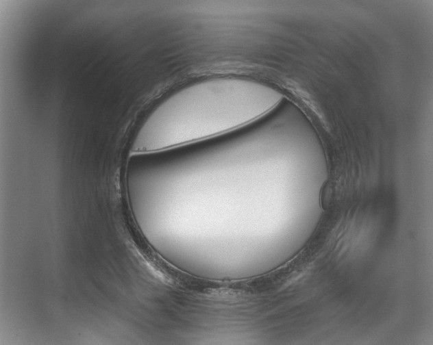 X0000069800633200605190910