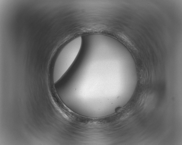 X0000069800634200605190910