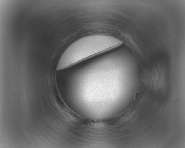 X0000069800645200605190910