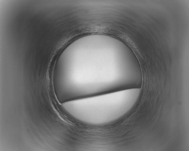 X0000069800674200605190910