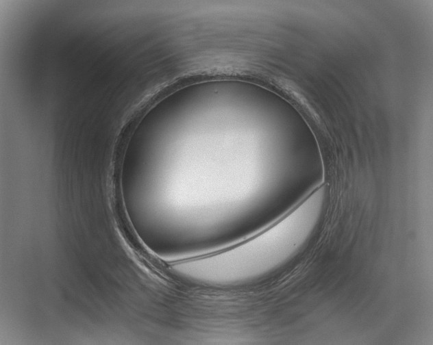 X0000069800677200605190910