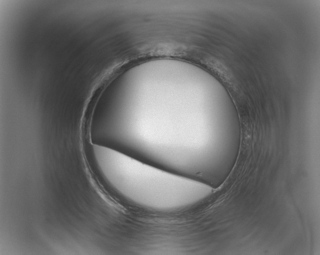 X0000069800678200605190910