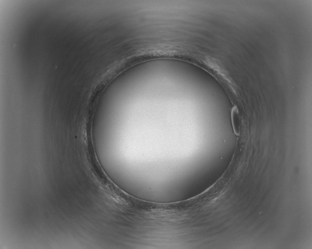 X0000069800681200605190910