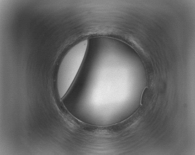 X0000069800685200605190910