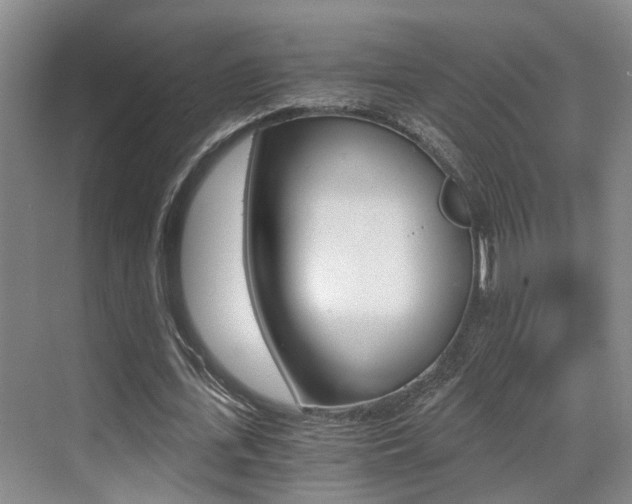 X0000069800723200605190909