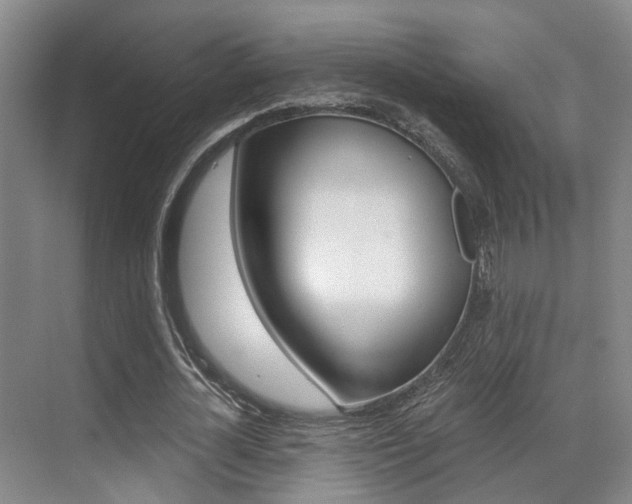X0000069800724200605190909