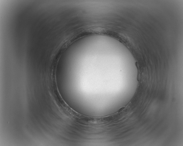 X0000069800739200605190909