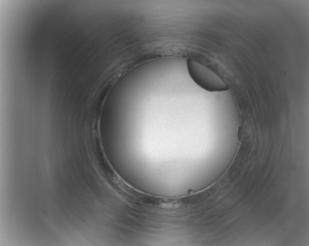 X0000069800744200605190909
