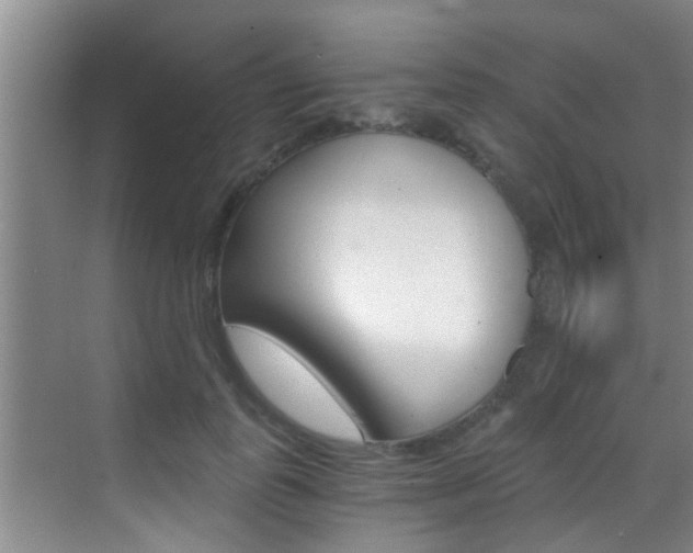 X0000069800747200605190909
