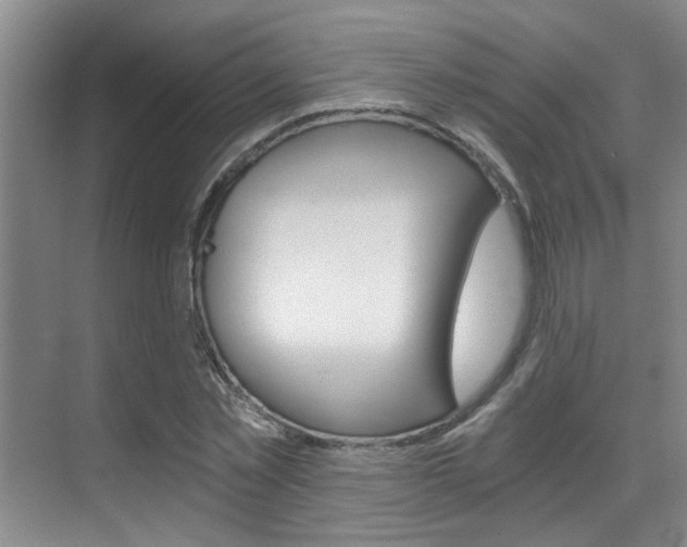 X0000069800781200605190908