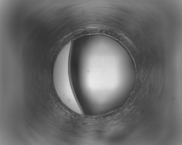 X0000069800821200605190907
