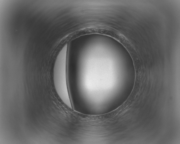 X0000069800822200605190907
