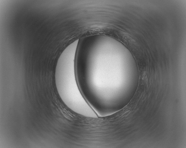 X0000069800868200605190907