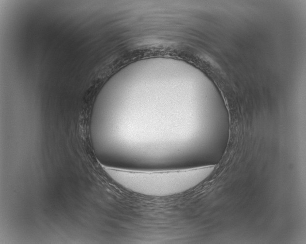 X0000069800869200605190907