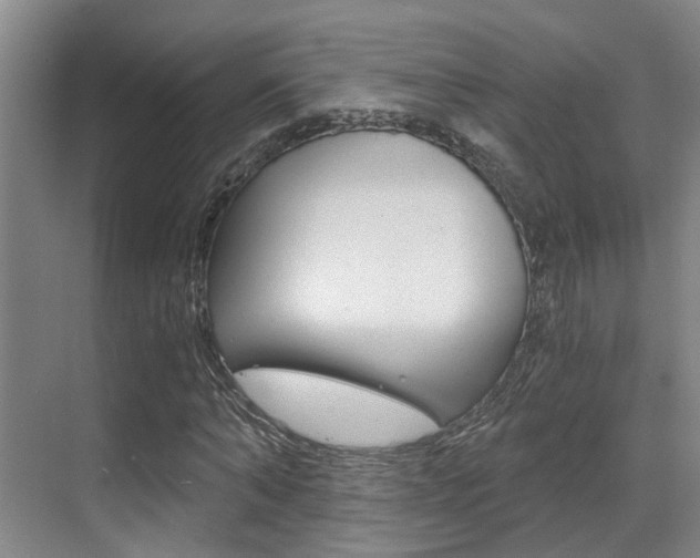 X0000069800870200605190907
