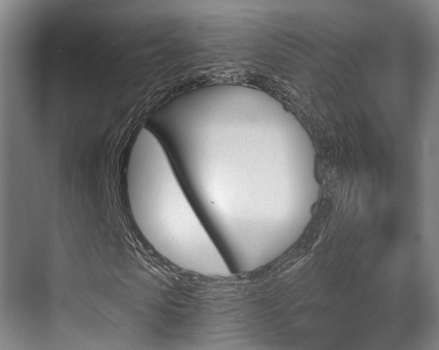 X0000069800913200605190905