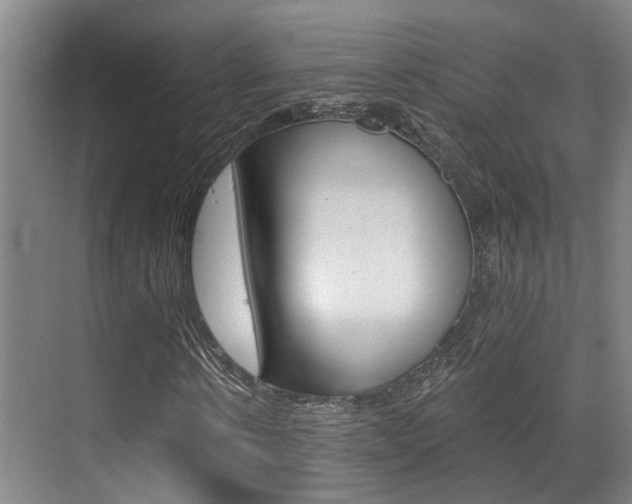 X0000069800914200605190905