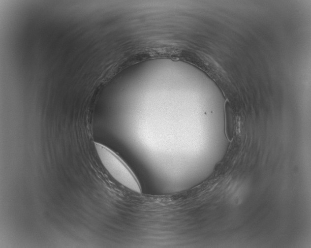 X0000069800915200605190905