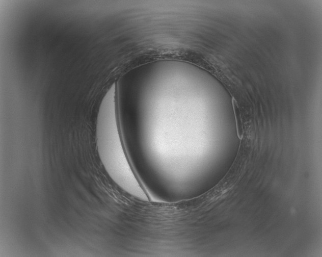 X0000069800916200605190905