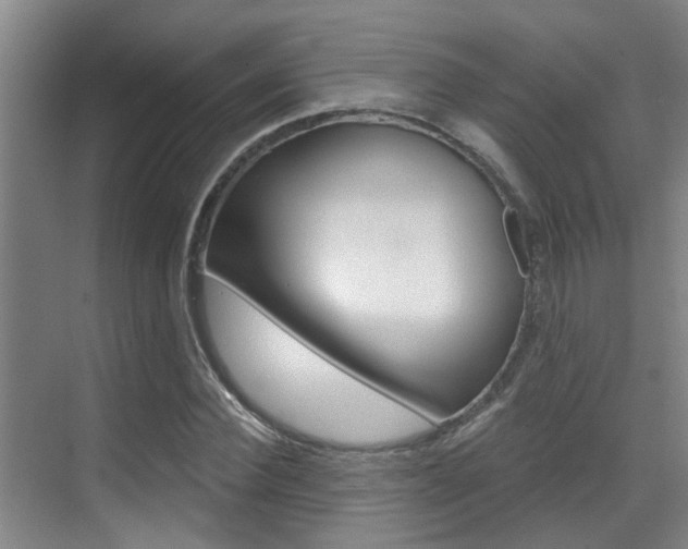 X0000069800924200605190905