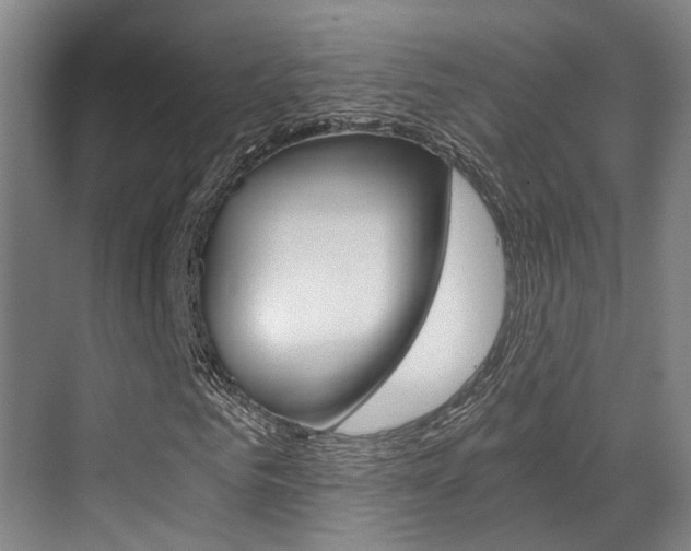 X0000069800961200605190905