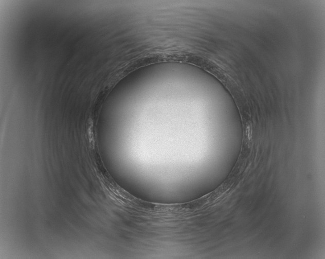 X0000069800963200605190905
