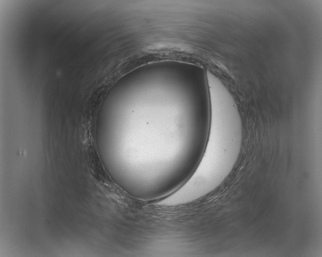 X0000069800965200605190905