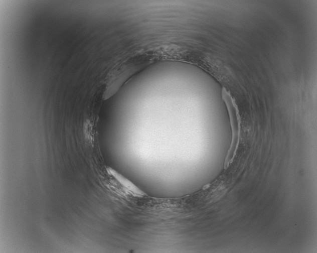 X0000069801010200605190904
