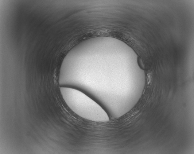 X0000069801011200605190904