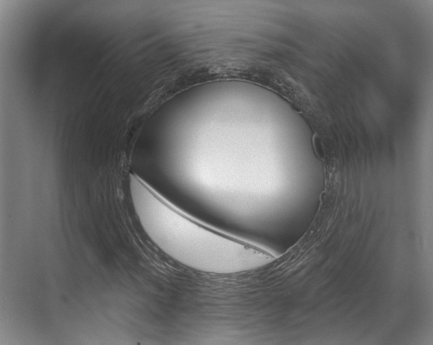 X0000069801012200605190904